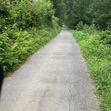 Schoene In Ruhiger Lage Apartmán Altena